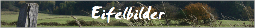 Eifelbilder