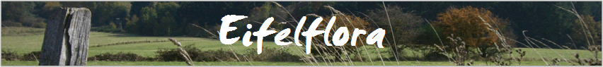Eifelflora
