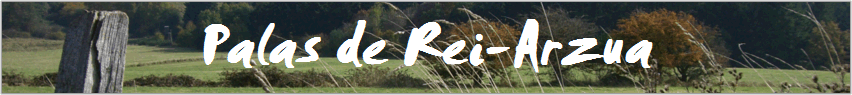 Palas de Rei-Arzua