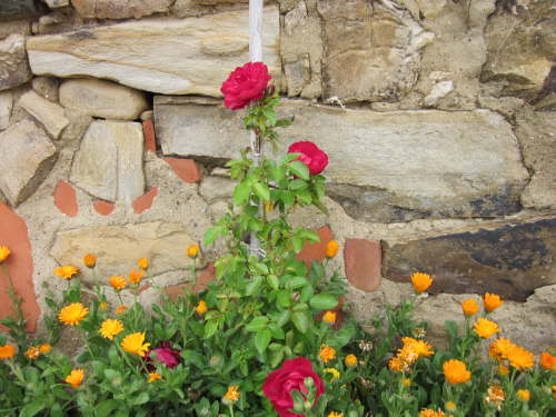 3087 2012-05-11 10-30