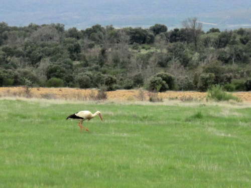 3097 2012-05-11 11-10