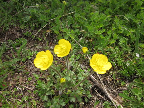 3115 2012-05-11 16-28