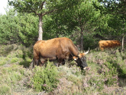 3121 2012-05-12 09-15