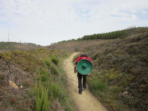 3131 2012-05-12 10-07