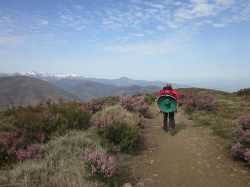 3136 2012-05-12 10-39