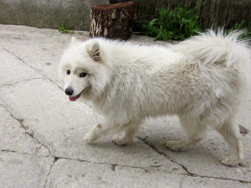 3138 2012-05-12 11-42