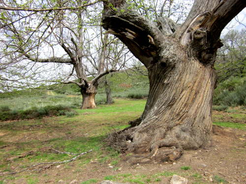 3153 2012-05-12 13-04