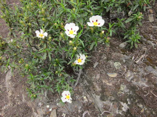 3160 2012-05-12 13-31