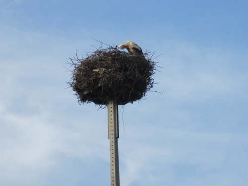 3193 2012-05-13 09-24