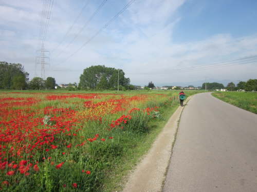 3198 2012-05-13 10-08