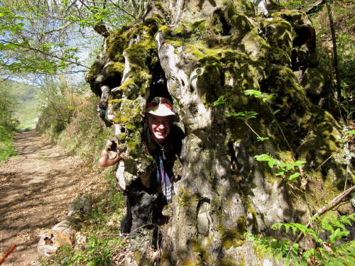 3257 2012-05-14 12-02