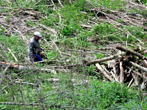 3268 2012-05-14 14-07