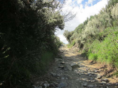 3290 2012-05-14 16-33