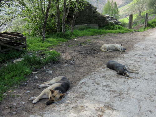 3296 2012-05-14 17-17