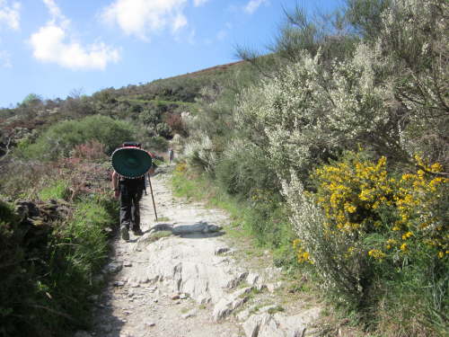 3299 2012-05-14 17-24