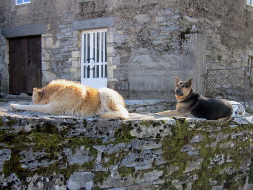 3343 2012-05-15 09-55