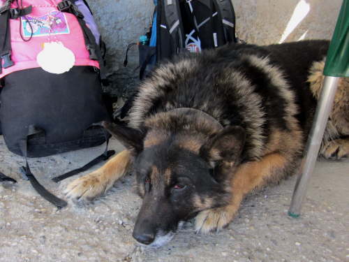 3357 2012-05-15 11-13