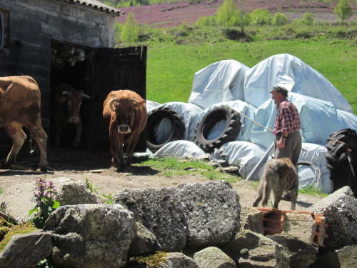 3387 2012-05-15 13-50