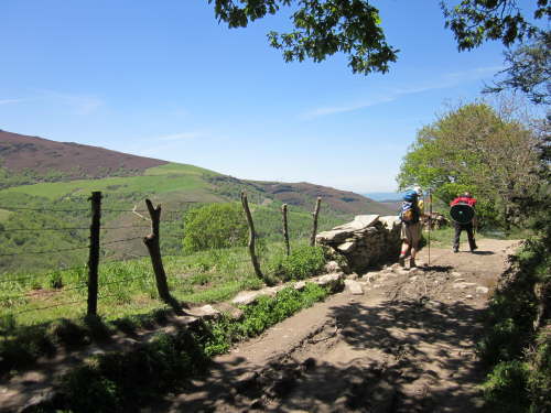 3395 2012-05-15 14-28