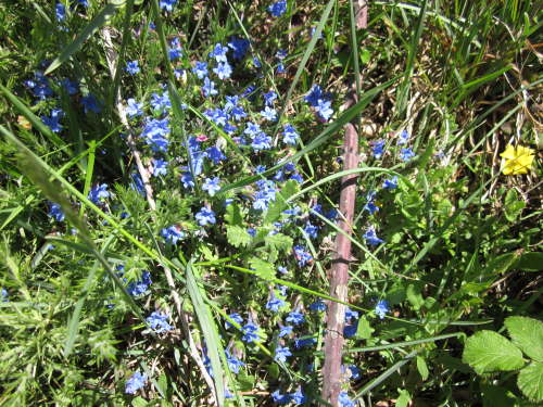 3397 2012-05-15 14-31