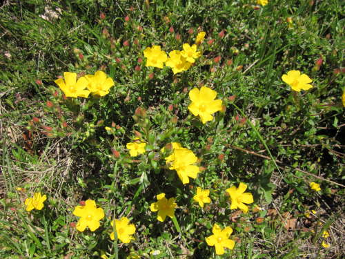 3398 2012-05-15 14-31