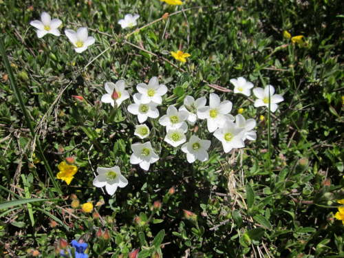 3399 2012-05-15 14-31