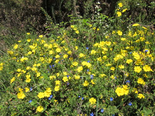 3400 2012-05-15 14-32