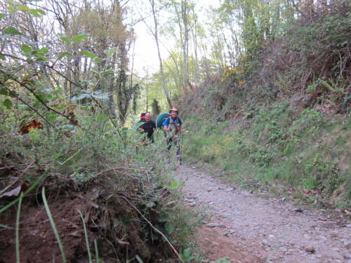 3431 2012-05-16 09-08