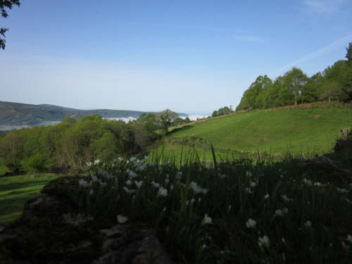 3434 2012-05-16 09-26