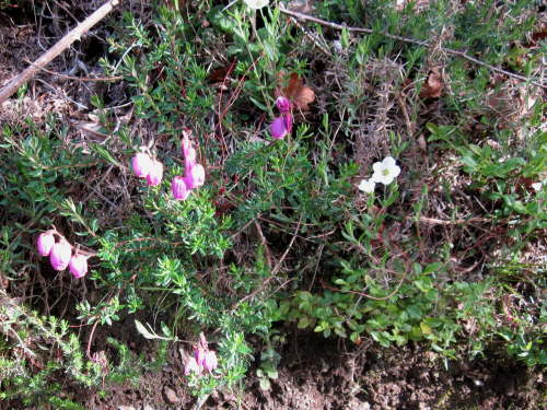 3442 2012-05-16 09-53