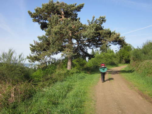 3445 2012-05-16 09-54