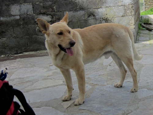 3481 2012-05-16 13-08