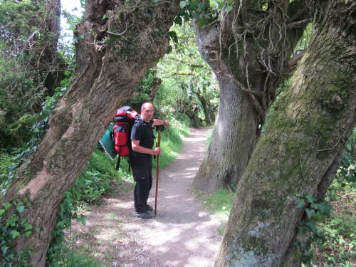 3482 2012-05-16 13-33