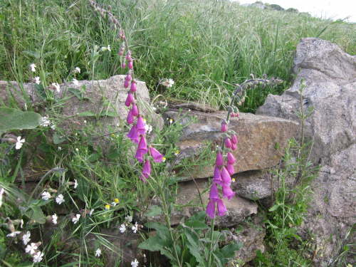 3522 2012-05-17 09-24