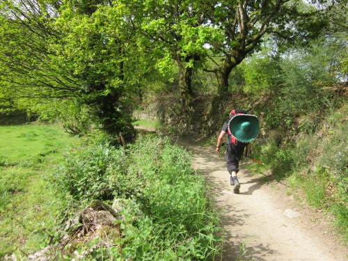 3534 2012-05-17 10-40