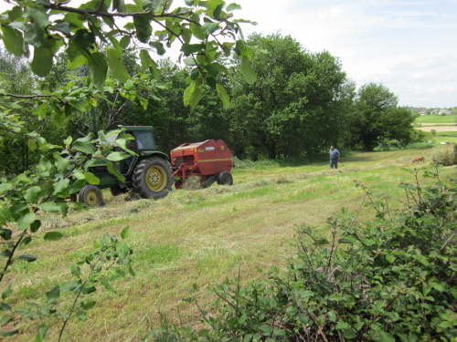 3560 2012-05-17 13-37