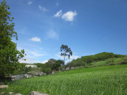 3561 2012-05-17 13-38