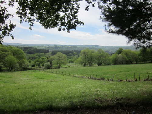 3566 2012-05-17 13-53