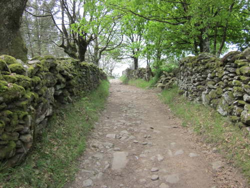 3568 2012-05-17 13-55