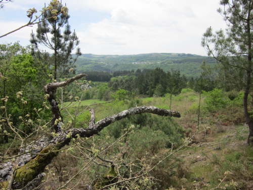 3569 2012-05-17 13-57