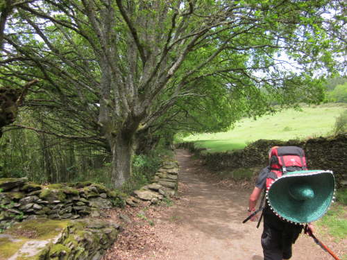 3571 2012-05-17 13-58