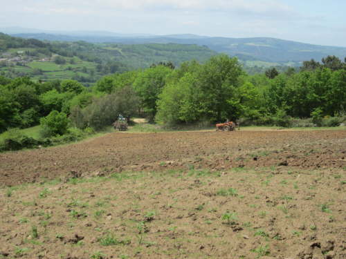 3576 2012-05-17 14-05