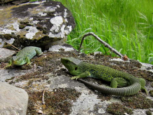 3590 2012-05-17 16-00