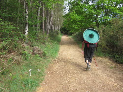 3607 2012-05-18 09-51