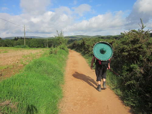 3608 2012-05-18 10-11