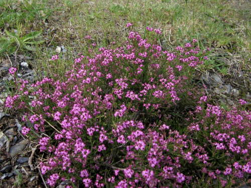 3617 2012-05-18 13-03