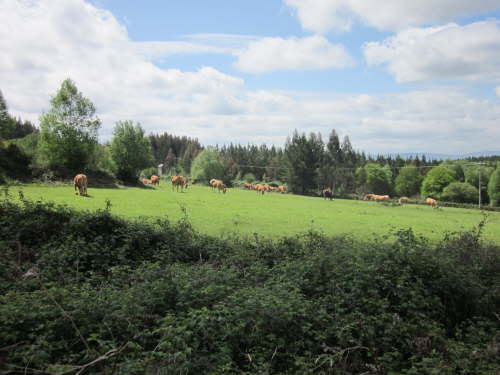 3618 2012-05-18 13-06