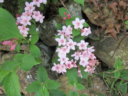 3621 2012-05-18 13-13