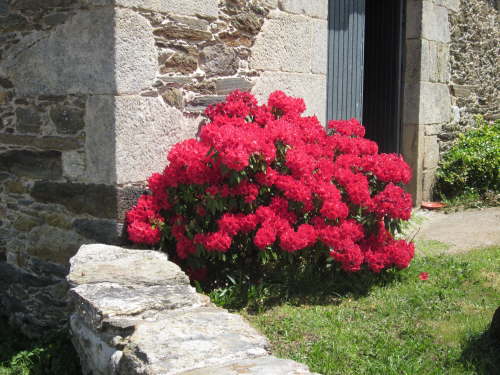 3631 2012-05-18 14-04