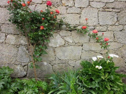 3646 2012-05-18 15-37